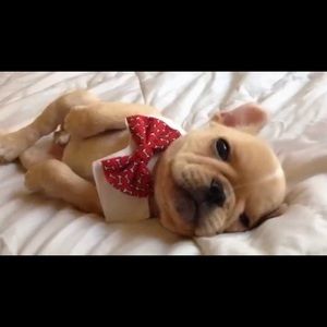 Meet your Posher, Lolo